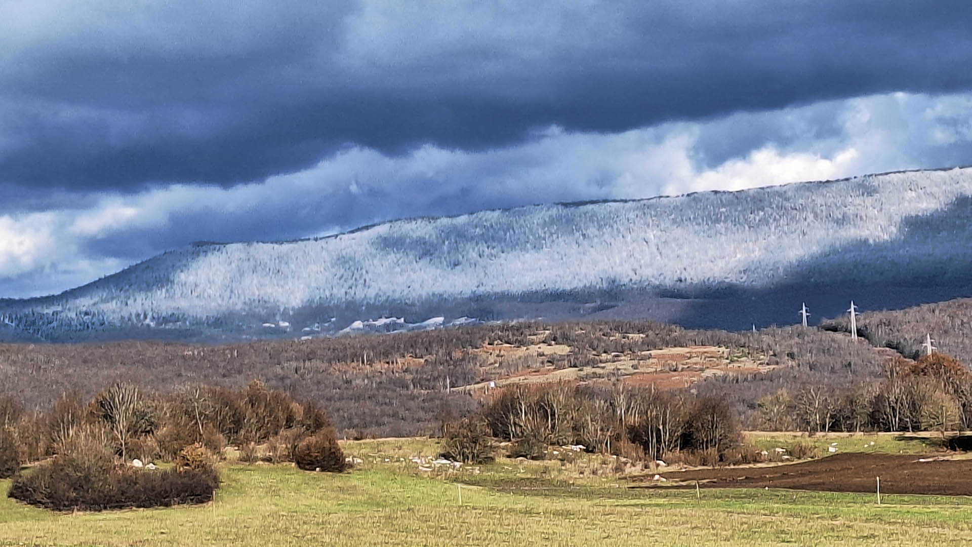 Alcune condizioni ambientali possono influenzare la presenza delle beccacce nel giro di pochissime ore; nella notte era nevicato (poco più di una spolverata) alle quote più alte, spingendo le beccacce verso il piano, solitamente meno frequentato