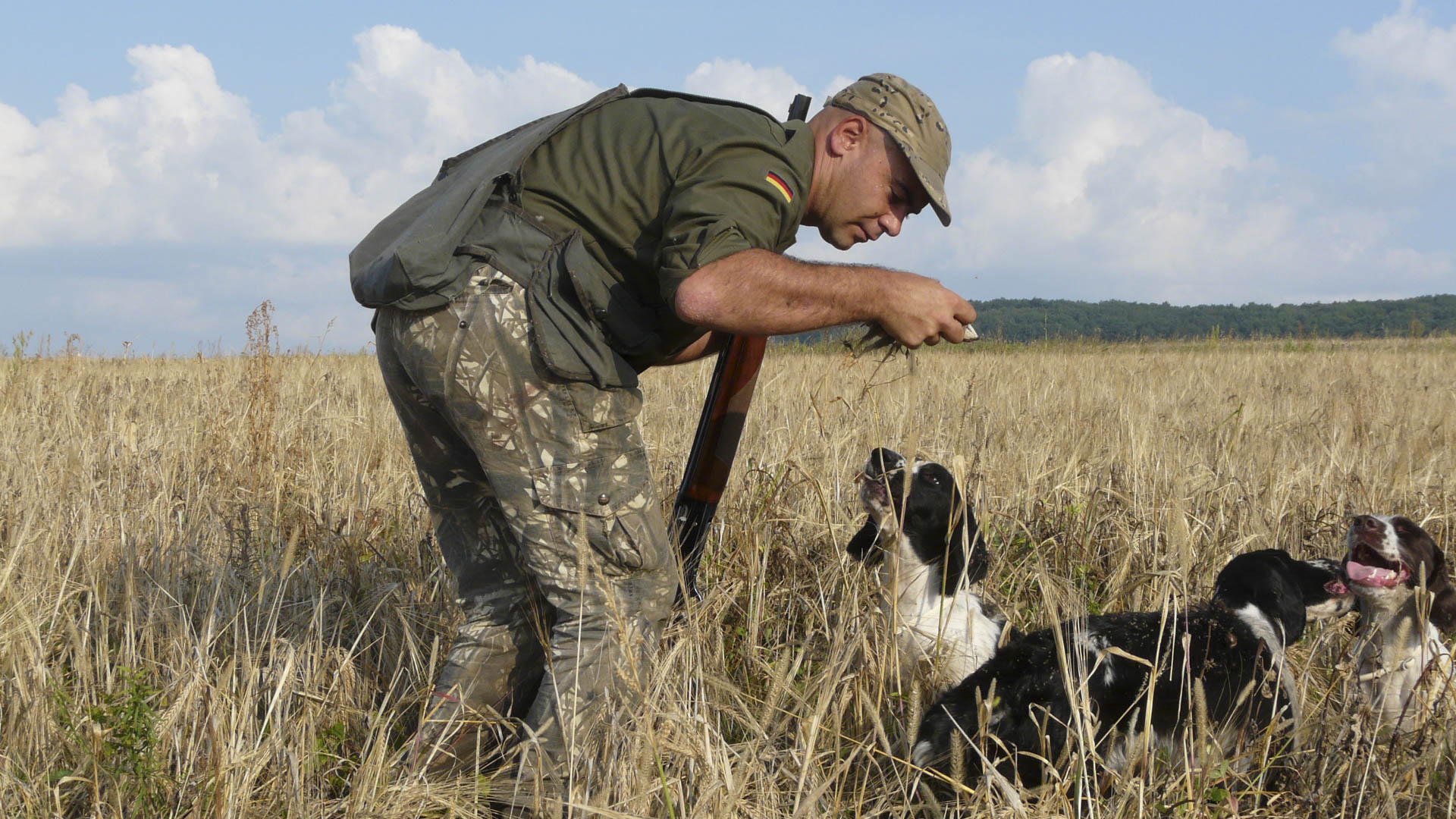 Un cacciatore e i suoi due cani, che pendono letteralmente dalle sue labbra; una scena tanto banale quanto affascinante nel suo ripetersi costante, sintomo di un connubio che travalica la passione venatoria