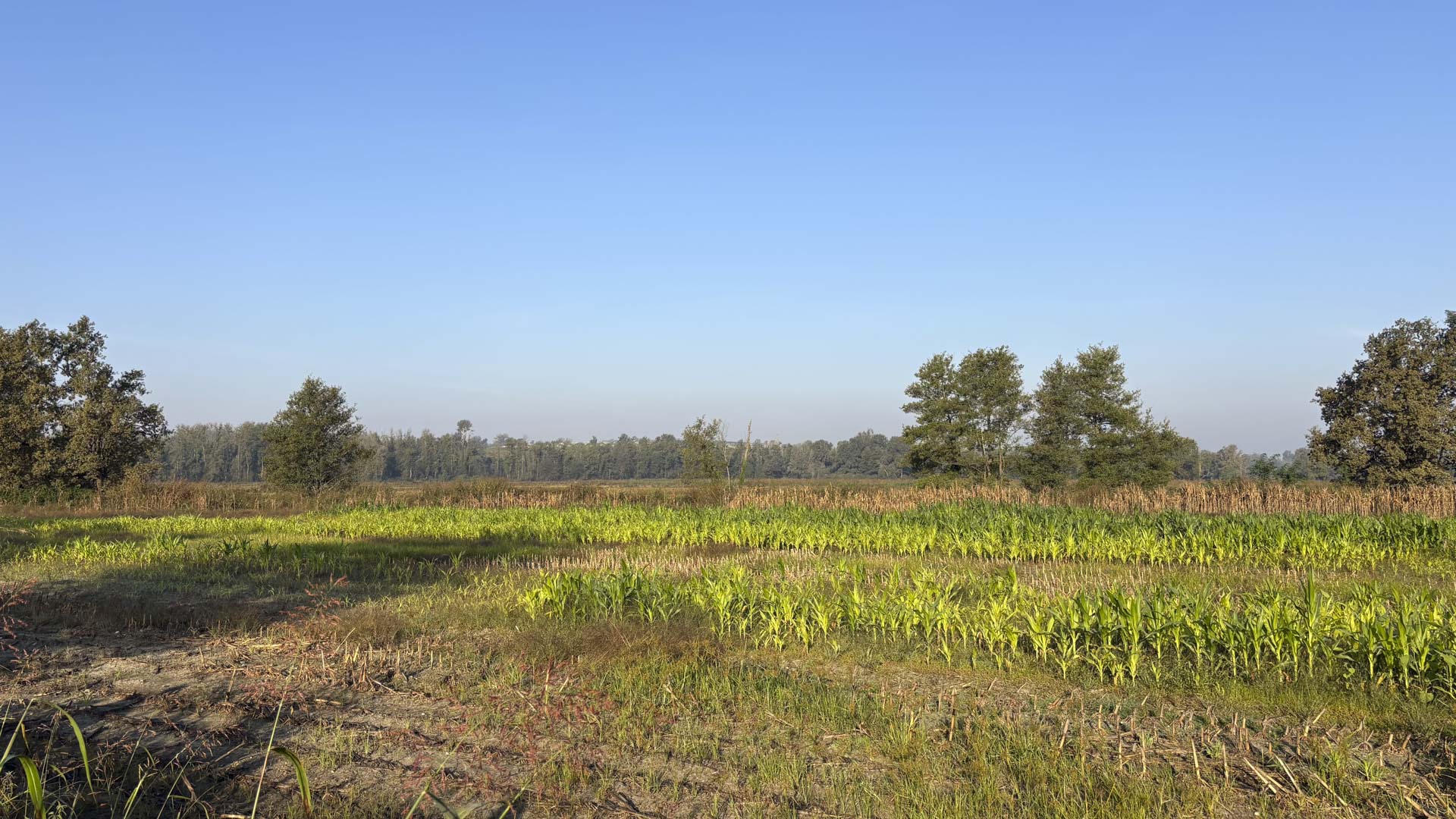 Il contesto naturalistico dell'Azienda agrituristico-venatoria Portalupa privilegia colture a perdere e una gestione che rende naturale la permanenza dei selvatici