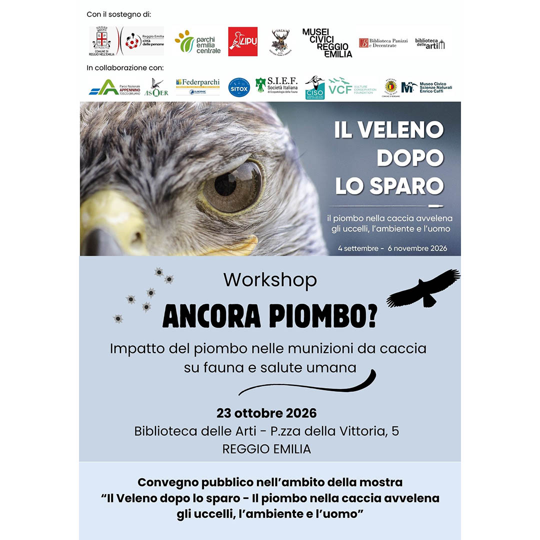A Reggio si è tenuto il convegno pubblico sul piombo nel corso del quale si sono confrontate realtà molto differenti tra loro