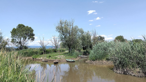 Il 