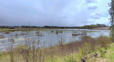 Piano di ripristino della natura, pubblicata la bozza italiana