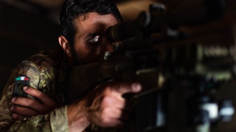 Peste Suina, l'Esercito procederà con gli abbattimenti