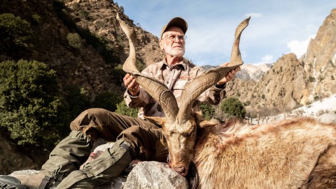 PAKISTAN - La posta in gioco  la conservazione del markhor