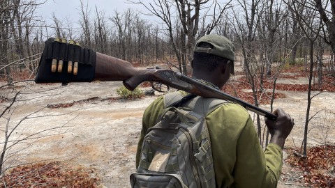 ZIMBABWE, un viaggio nel cuore selvaggio dell'Africa