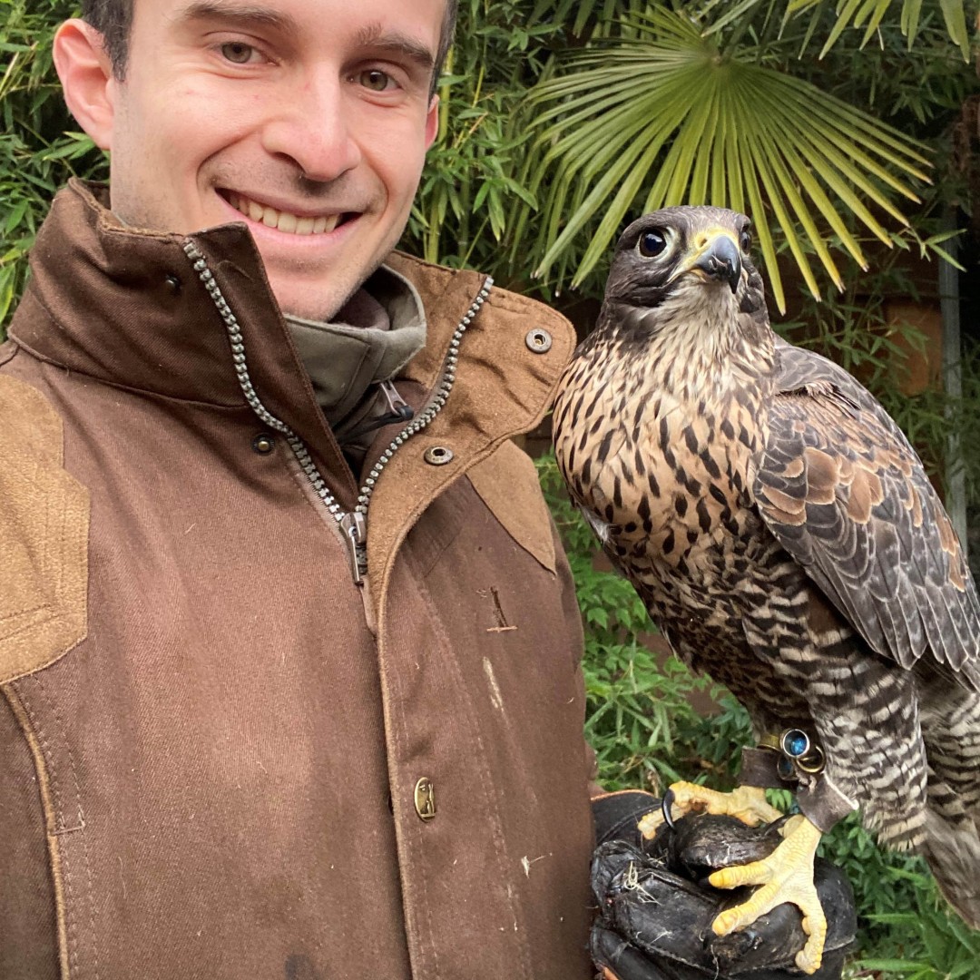 Il legame tra il falconiere e il suo falco può portare a una maggiore consapevolezza di sé e degli altri esseri viventi