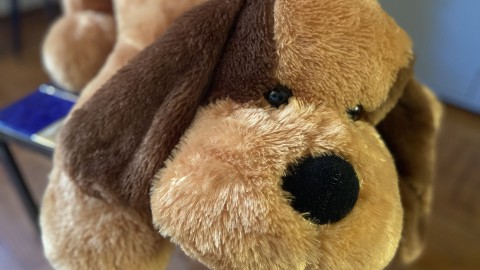 Sarà un peluche a salvare i nostri cani dalle fauci del lupo?