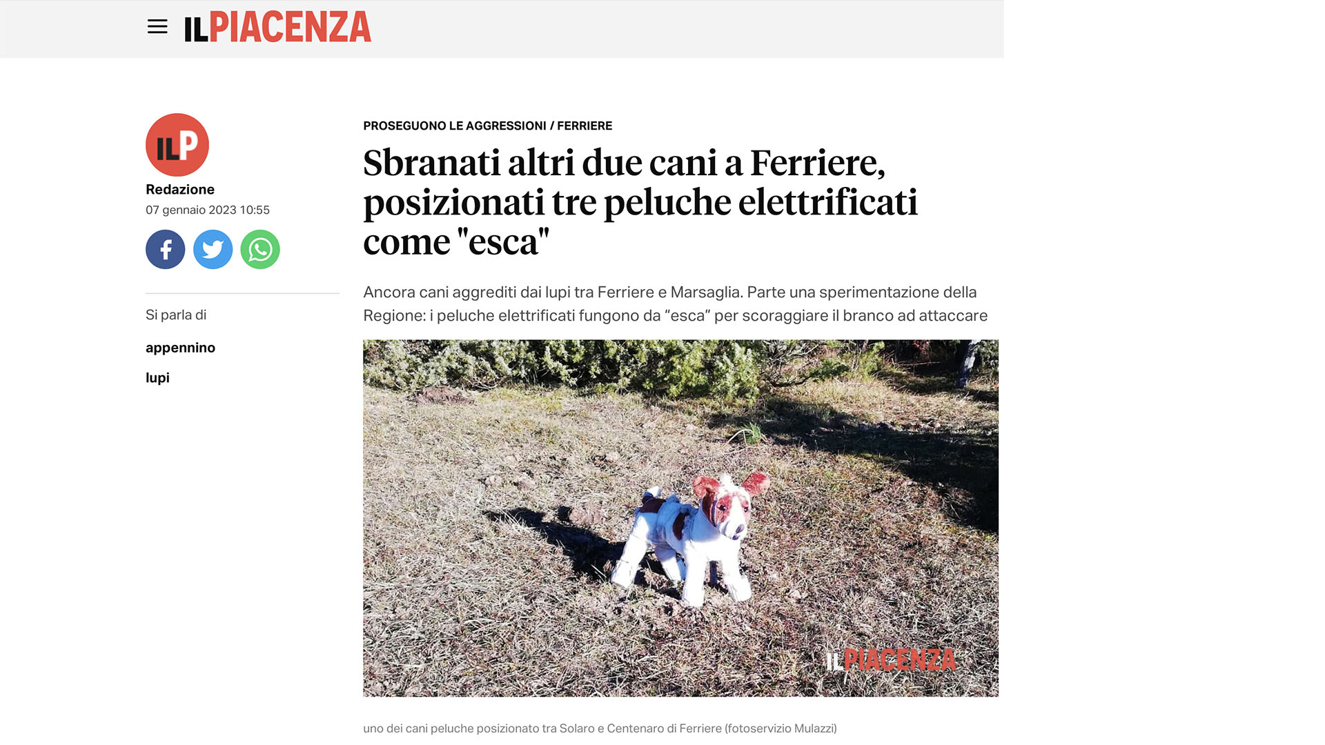 La notizia è stata anche riportata da alcune testate locali