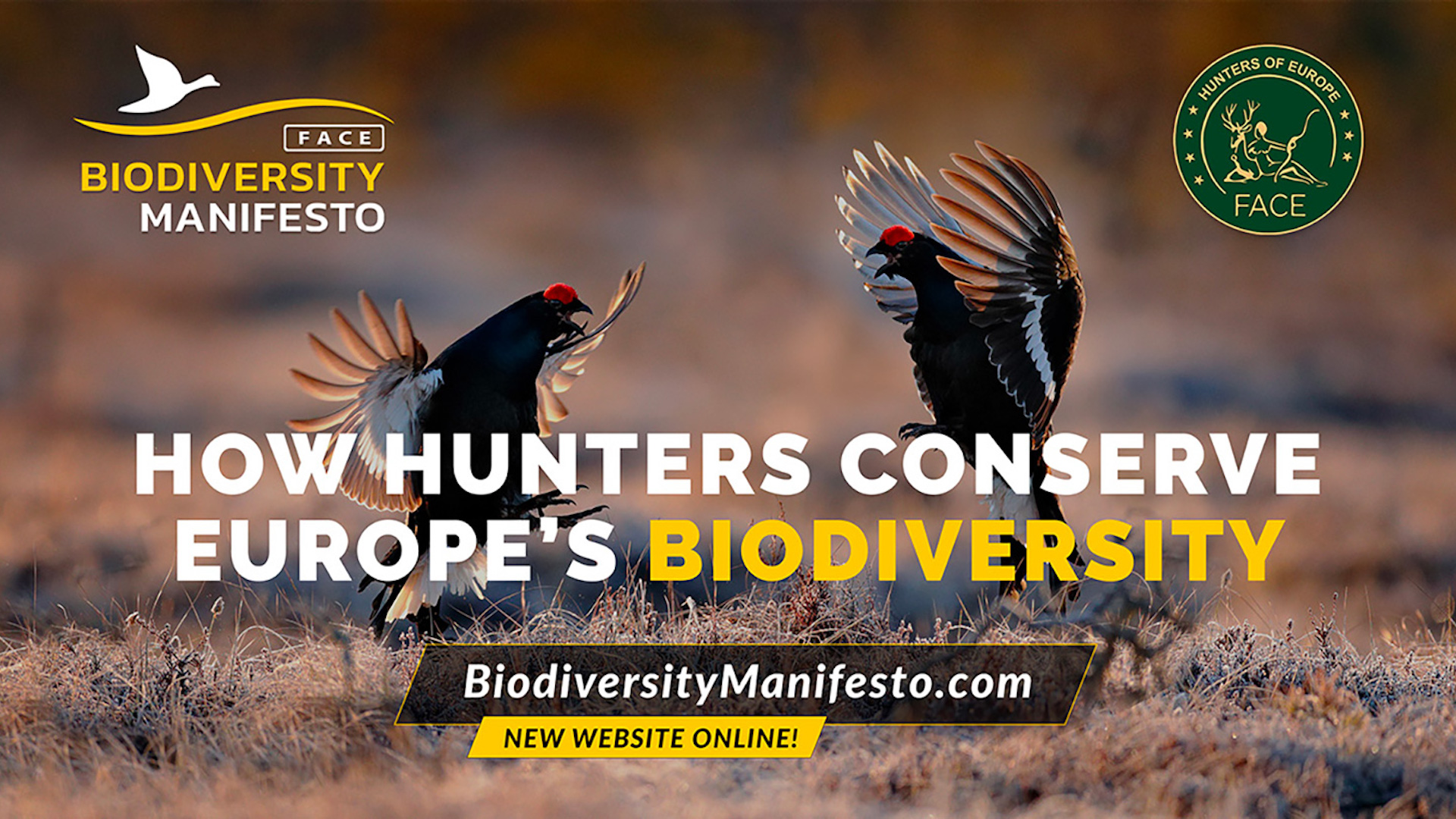 L'ottavo Rapporto sul Manifesto della biodiversità Face è disponibile per il download