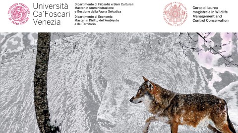 Università Ca' Foscari di Venezia, un convegno sui grandi predatori