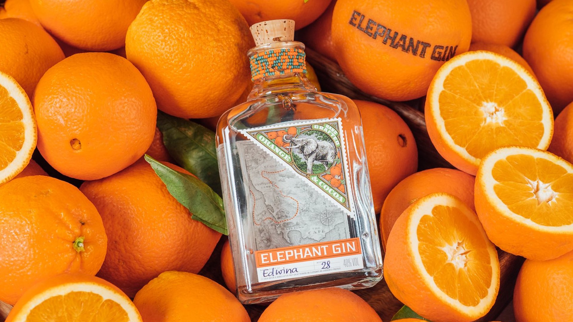 Per ogni consumazione Elephant gin devolverà un euro alla salvaguardia degli elefanti