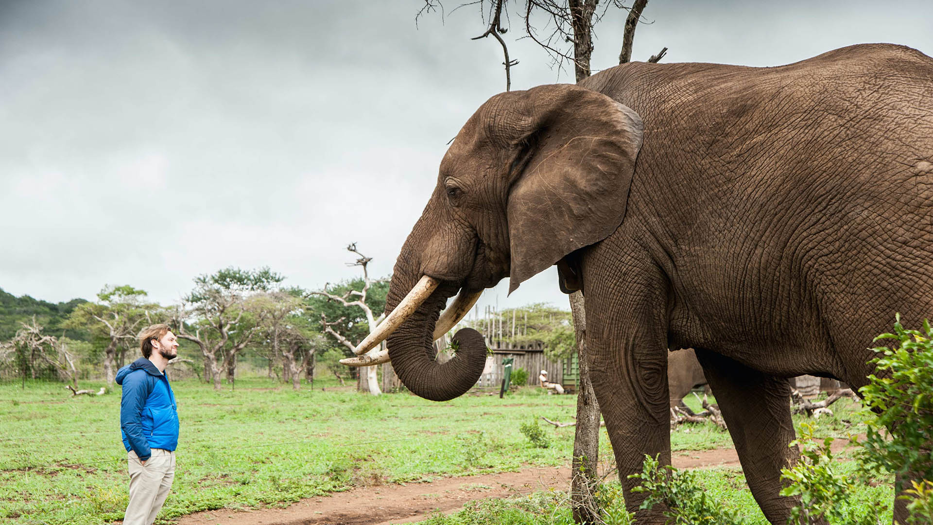 Prenderà il via mercoledì 12 luglio 2023 la Wildlife Warrior Campaign, il progetto solidale globale firmato da Elephant Gin, nota casa produttrice di gin