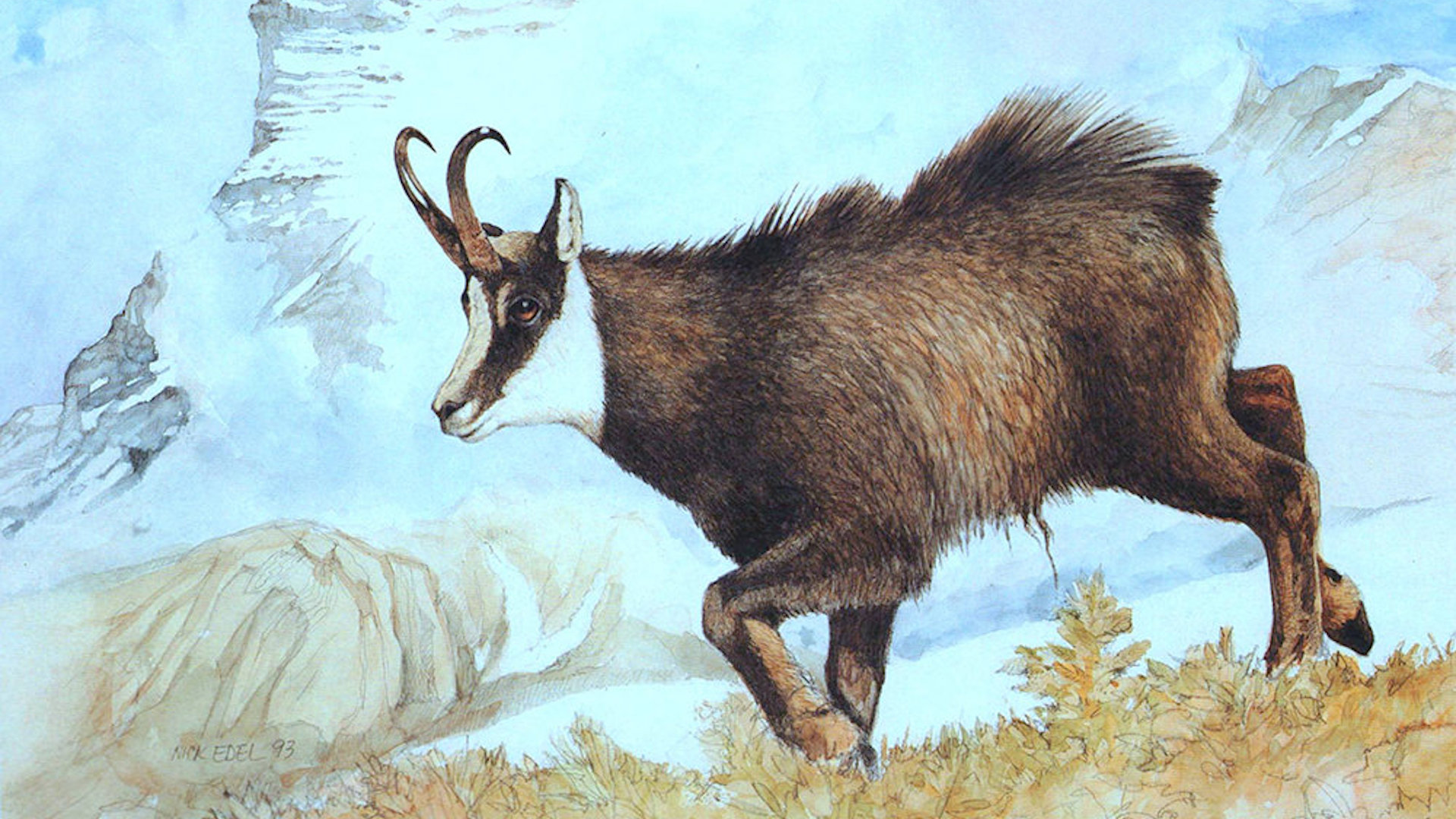 Pittore in una famiglia di pittori, il suo amore per la natura lo ha portato ad affermarsi come uno dei più importanti artisti nel campo della willife art