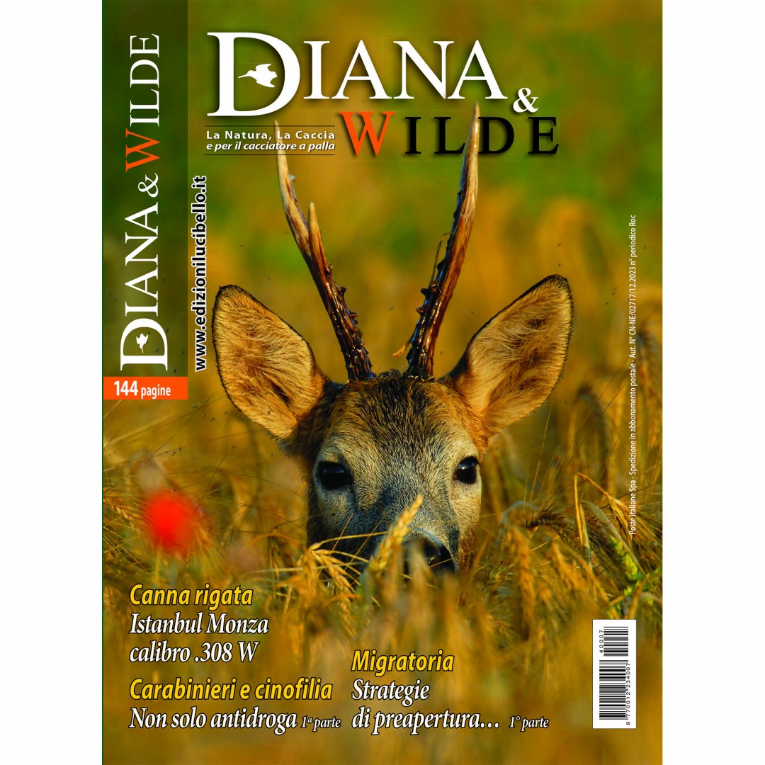 In virtù della collaborazione, Hunting Log da oggi cura su Diana & Wilde la sezione dedicata alla caccia di selezione e, beneficiando della rete di collaboratori di Diana & Wilde, può ampliare la varietà delle tematiche trattate sul sito