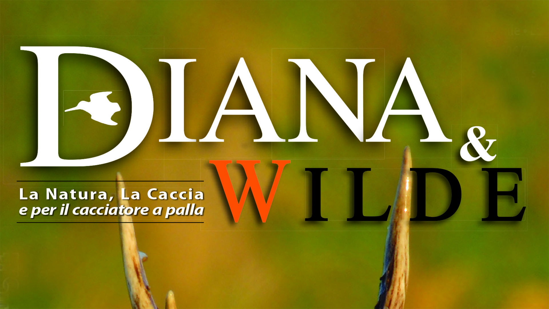 Diana & Wilde è la più longeva rivista di caccia presente sul panorama editoriale italiano