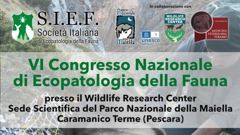 Un congresso nazionale sulle malattie della fauna