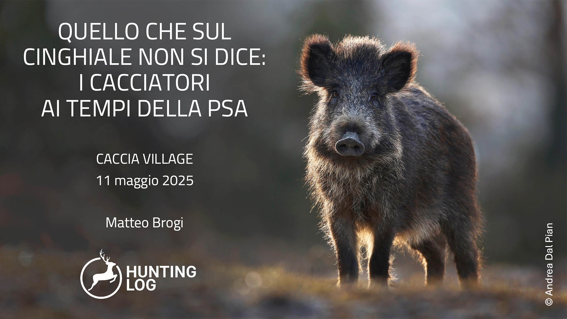 A Caccia Village si parla di cinghiale in modo innovativo con gli interventi di Matteo Brogi, Spartaco Gippoliti, Giuliano Milana e Fiore Serrani