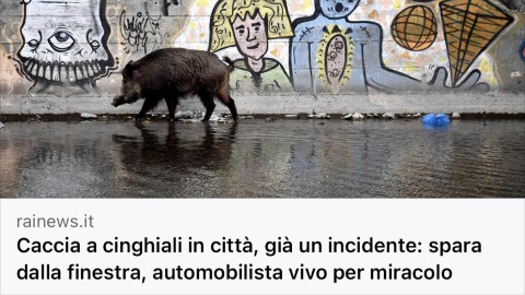 RaiNews: incidente con un'arma diventa far west della caccia in città